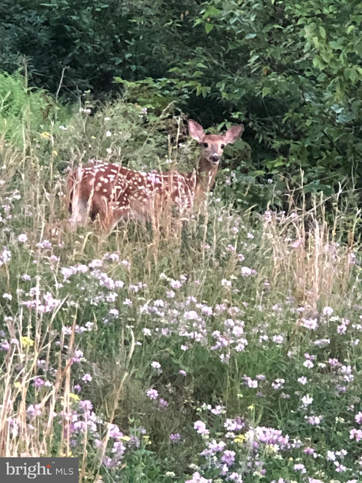 LAURELWOODS - Residential
