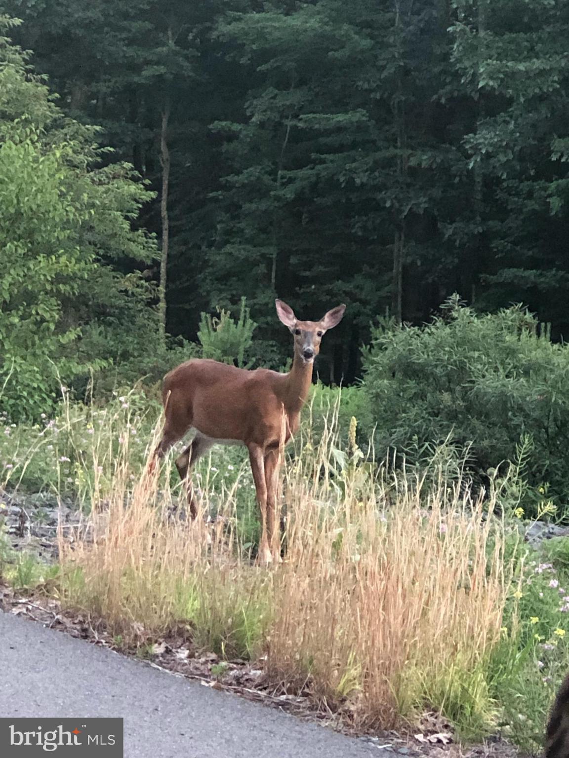 LAURELWOODS - Residential