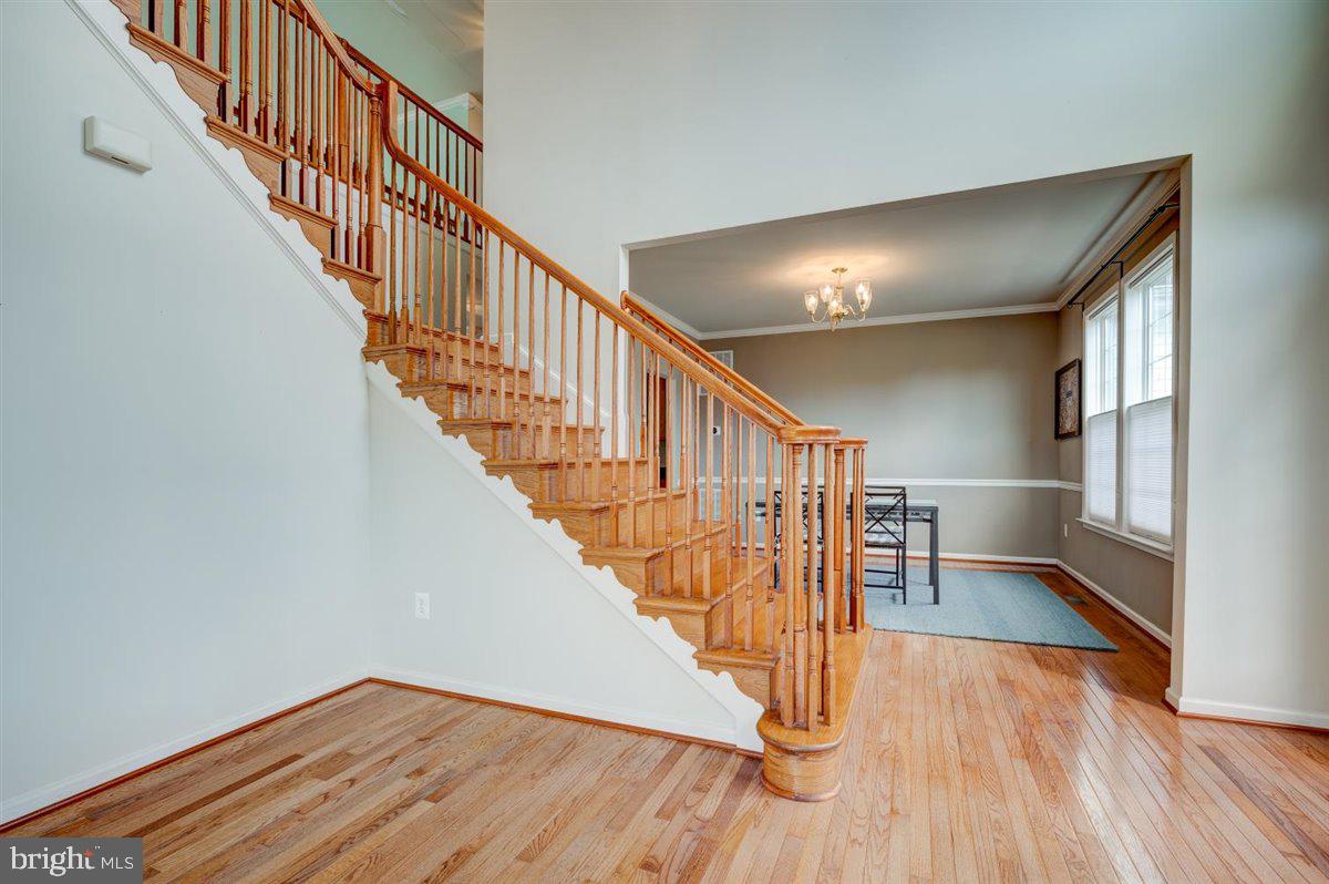 SADDLE RIDGE ESTATES - Residential