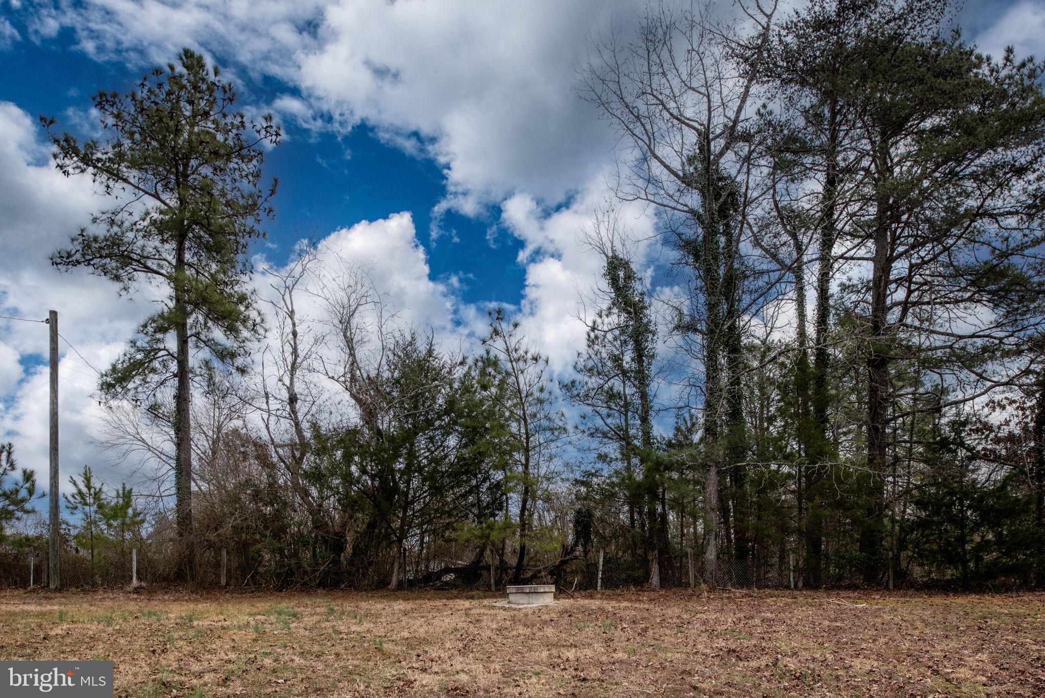 BOWLING GREEN - Residential