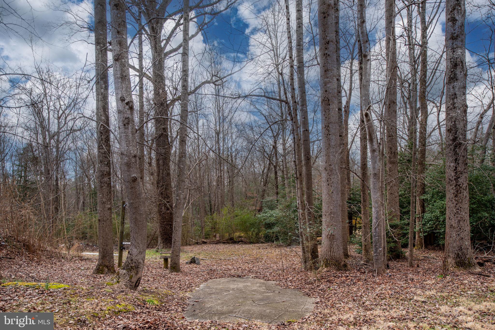 BOWLING GREEN - Residential