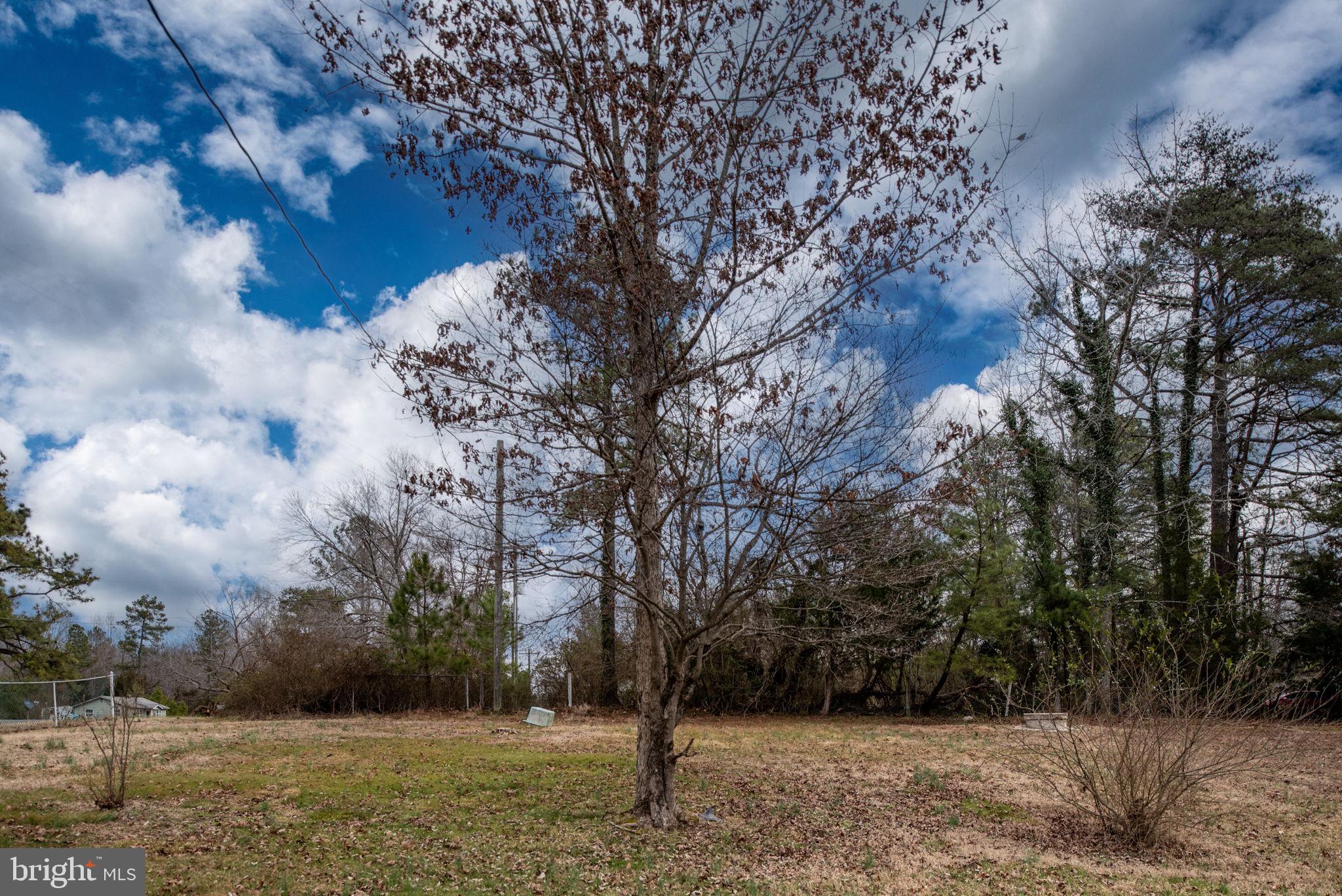 BOWLING GREEN - Residential