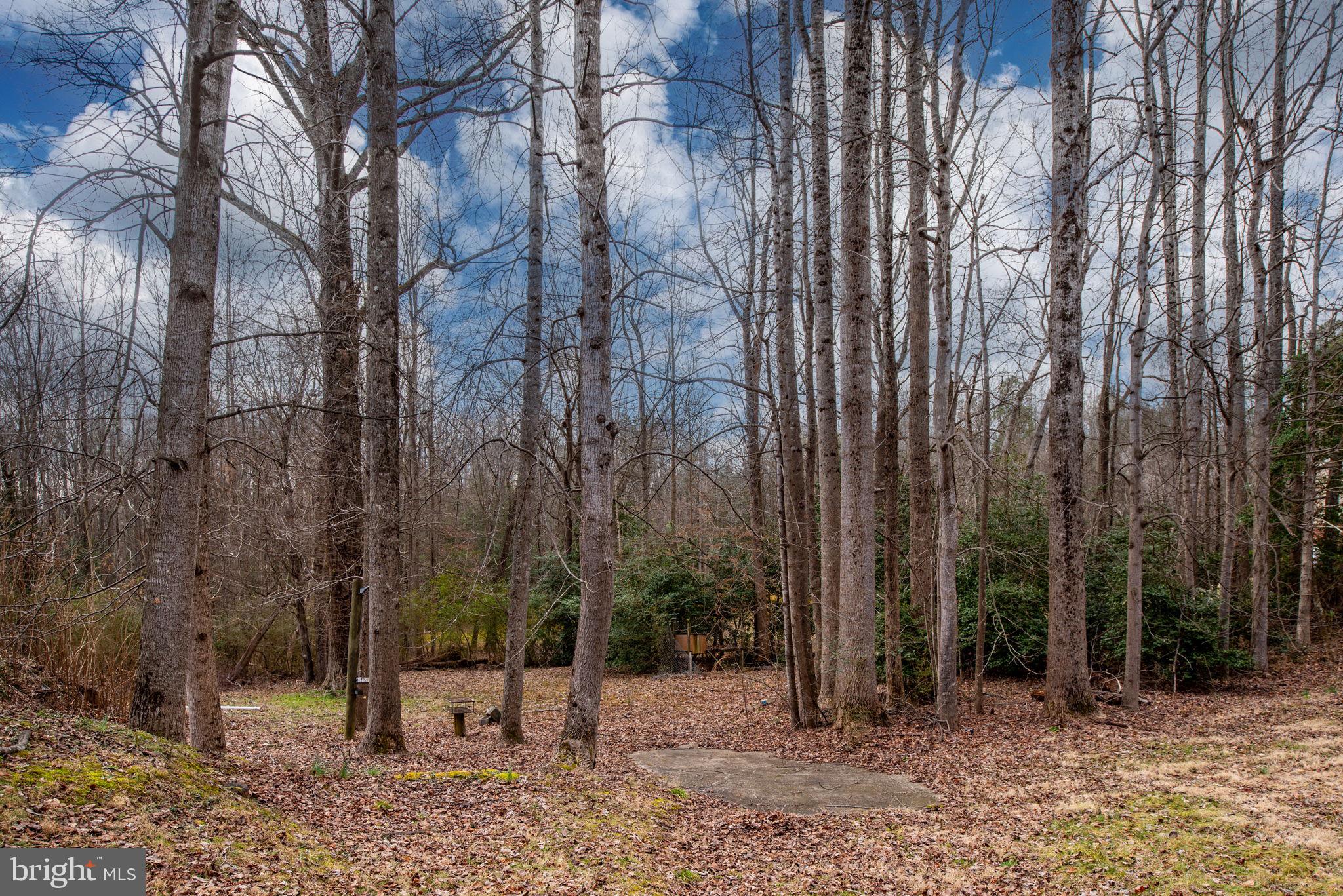 BOWLING GREEN - Residential