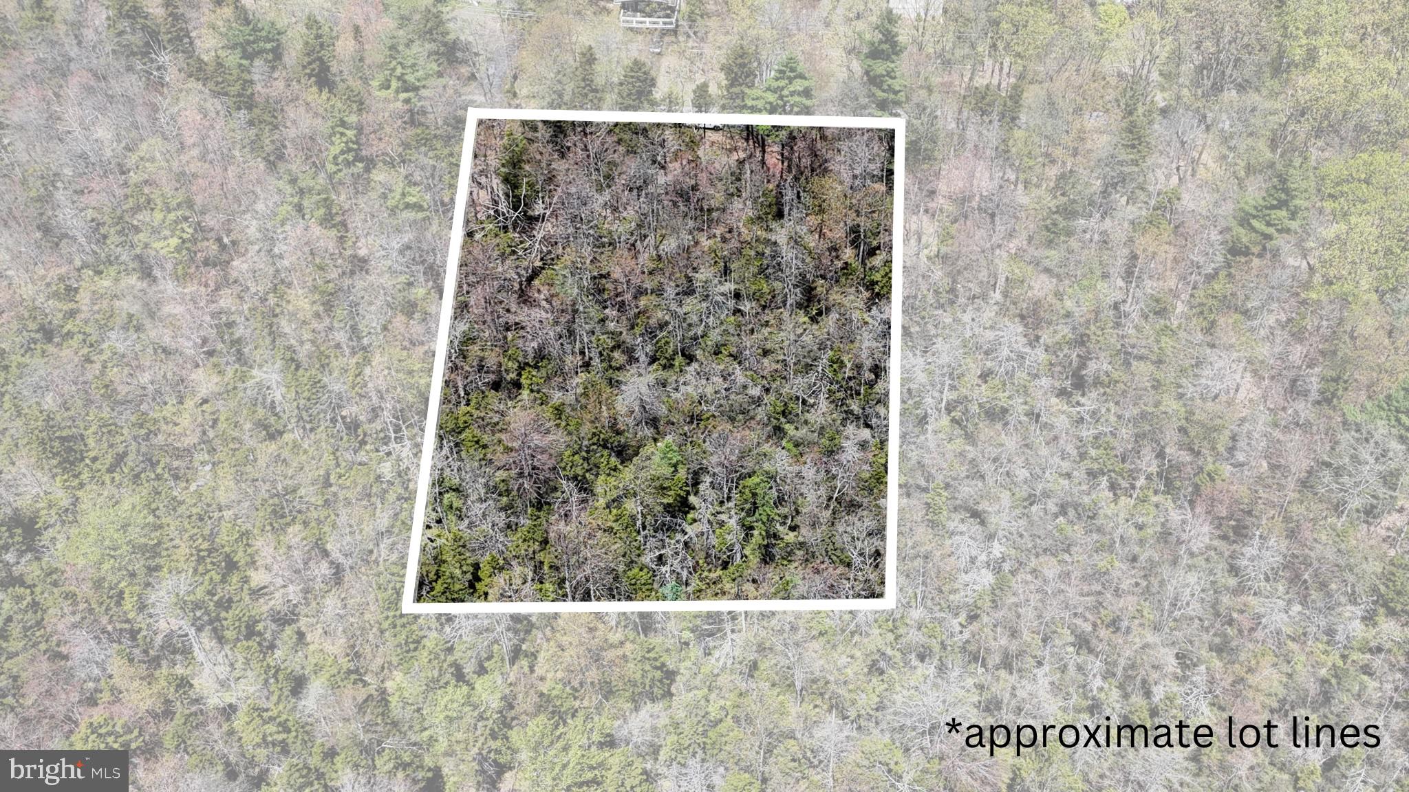 LOT 624 LAUREL ROAD