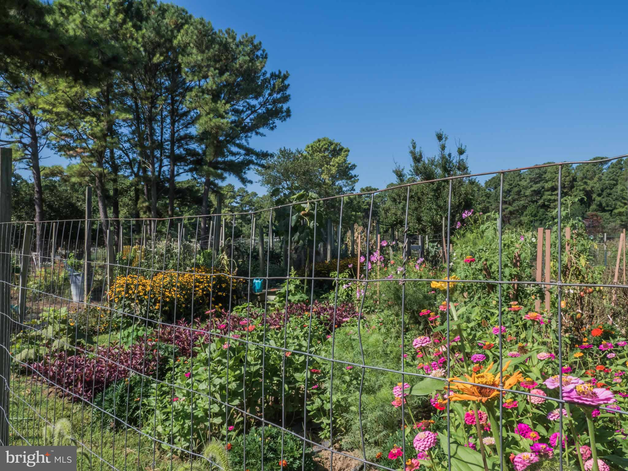 CHESAPEAKE RANCH ESTATES - Residential