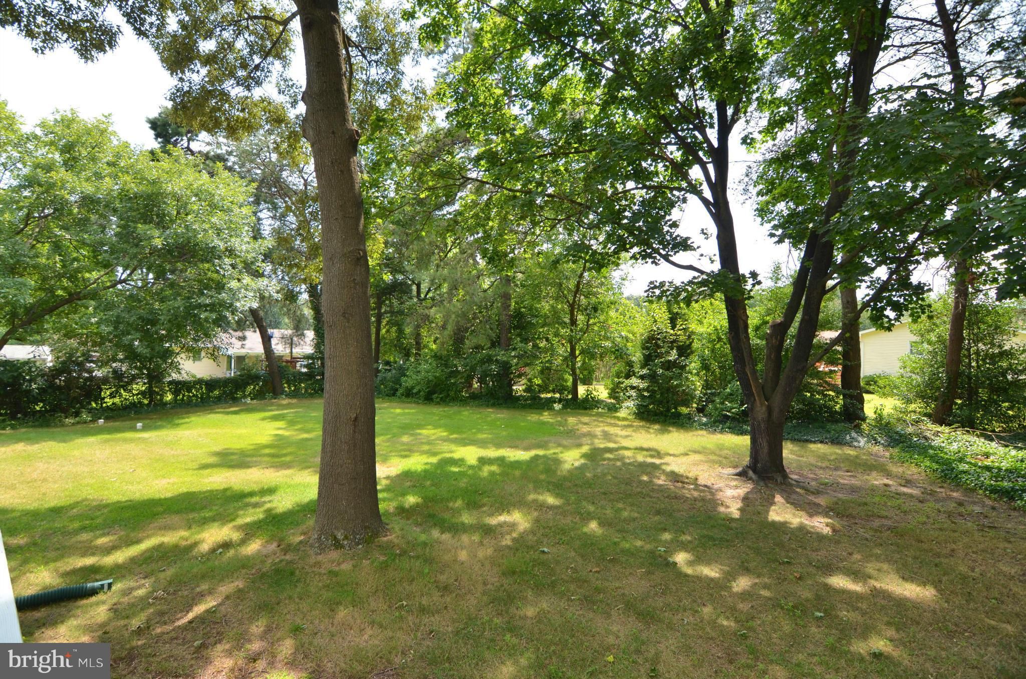 ELMHURST - Residential