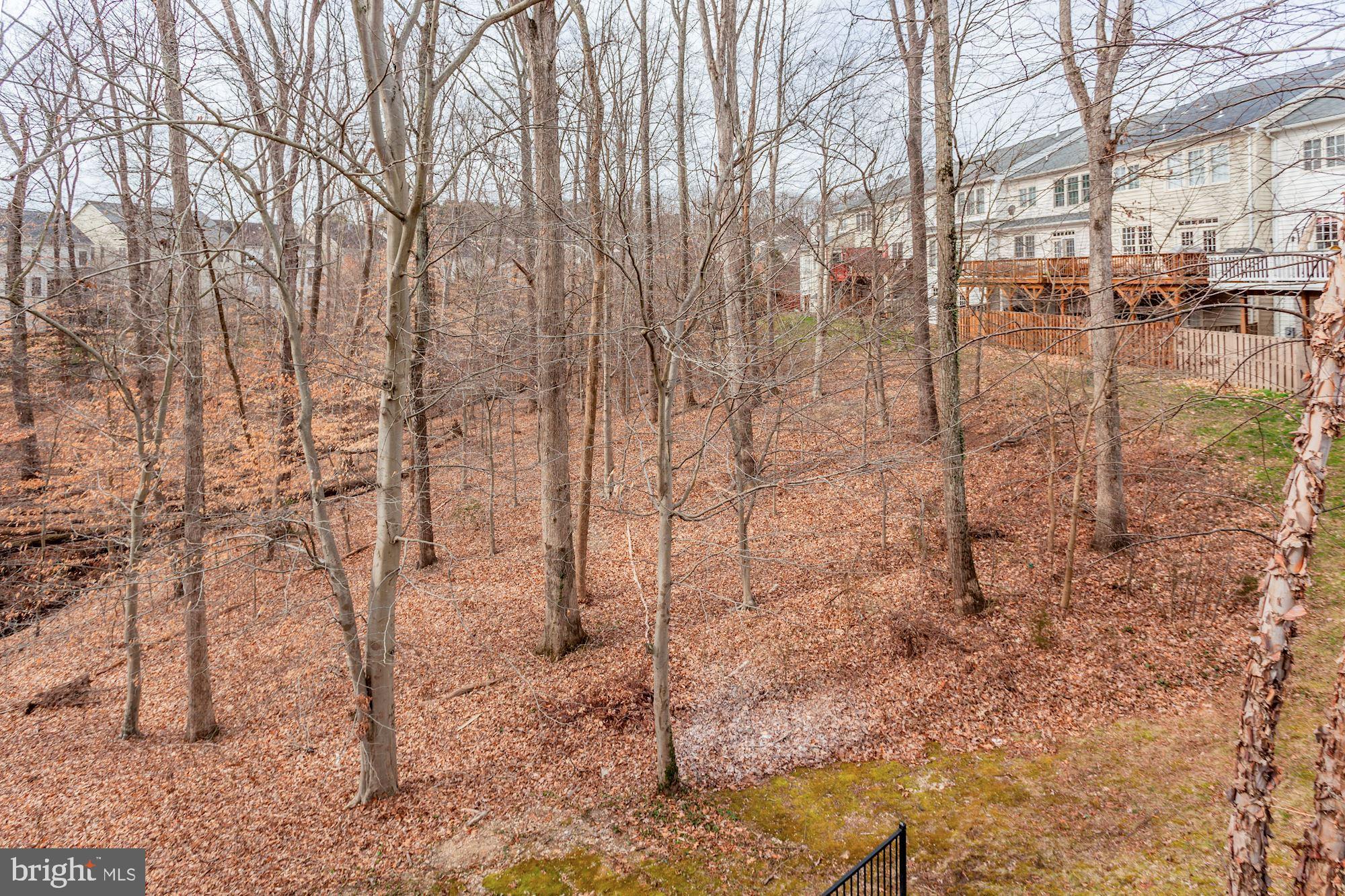 LORTON VALLEY NORTH - Residential