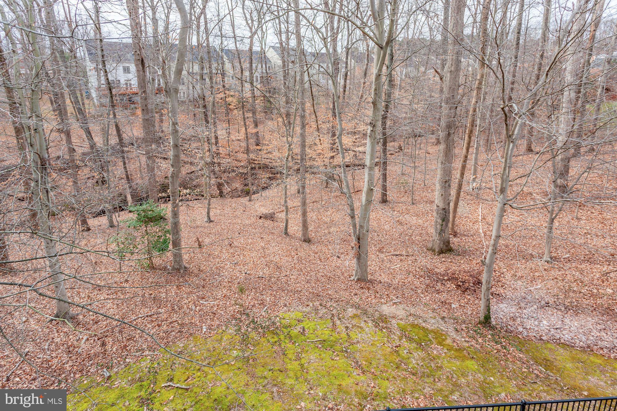 LORTON VALLEY NORTH - Residential