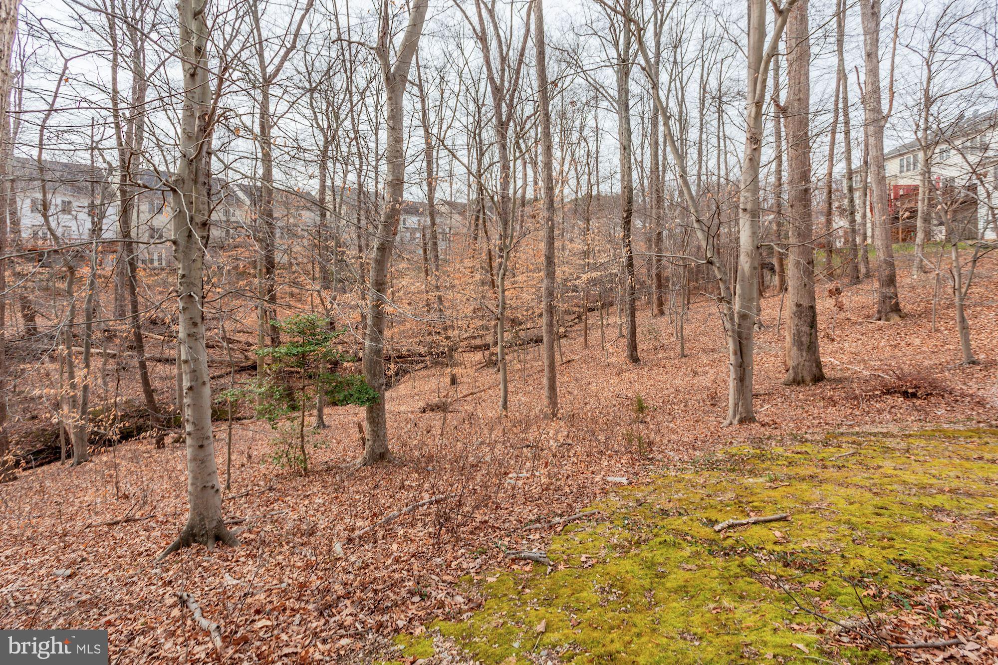 LORTON VALLEY NORTH - Residential