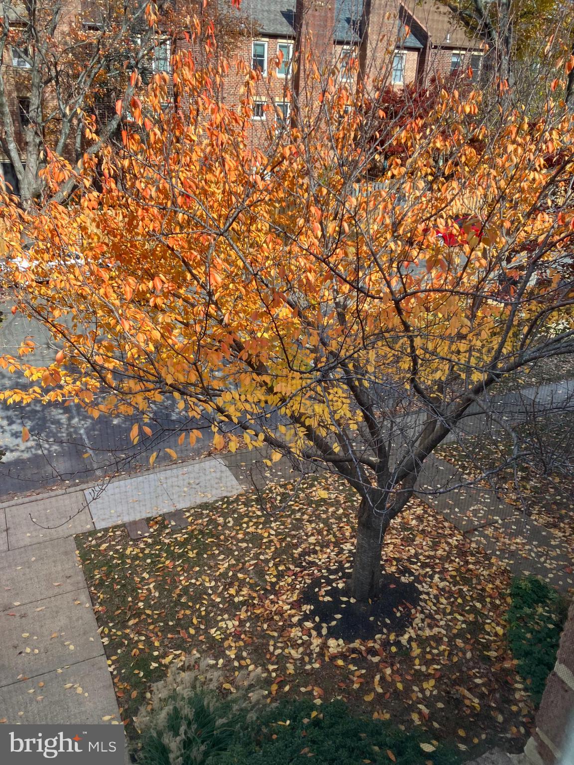 OAKTON VILLAGE - Residential Lease