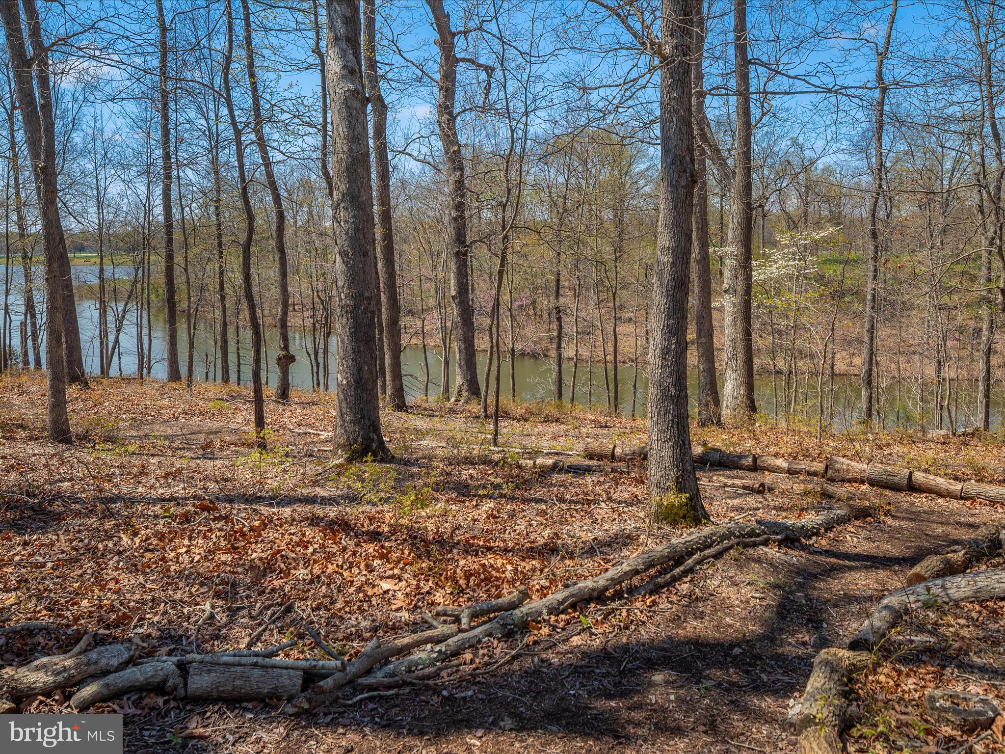 SARANAC - Residential