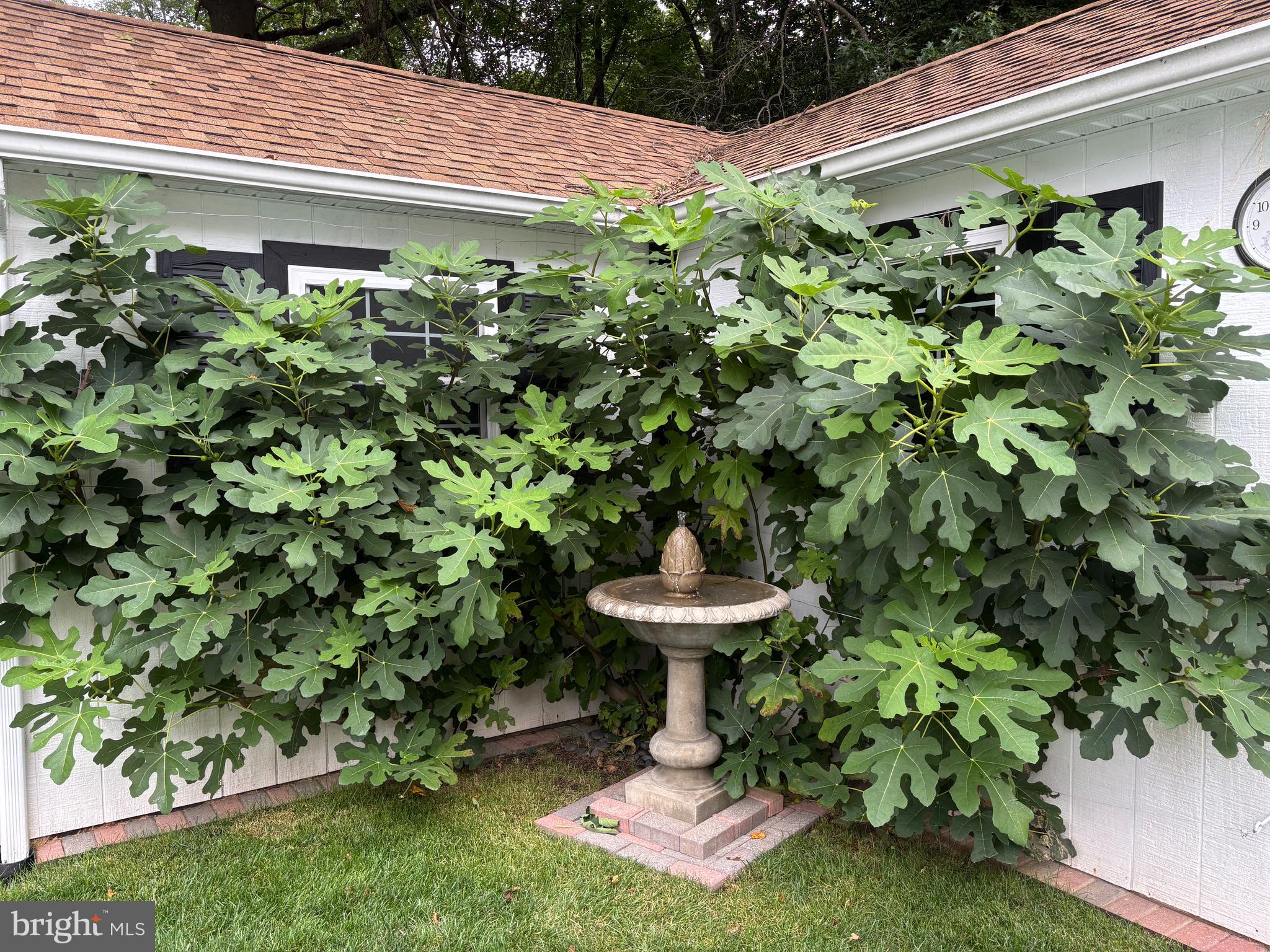 CEDARWOOD - Residential