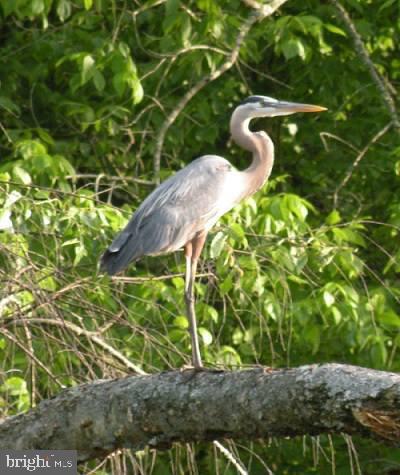 LAKE JACKSON - Residential