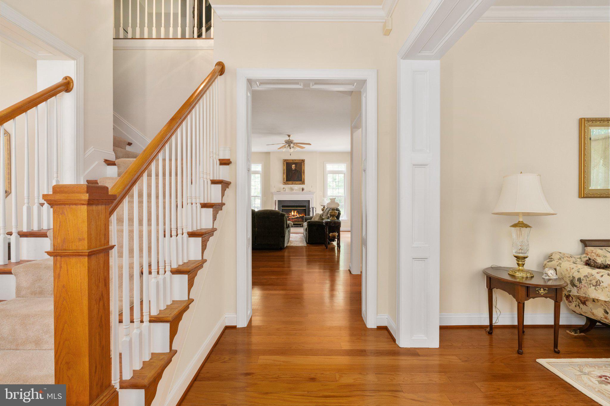 8622 LAROQUE RUN DRIVE