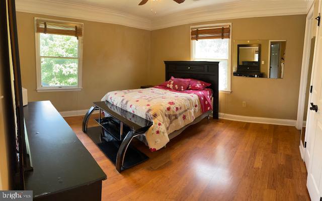 SHENANDOAH HILLS - Residential