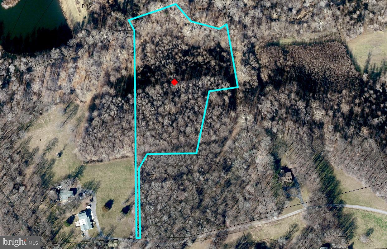 12223 MOLLY BERRY RD.