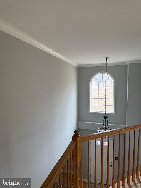 WHITEBRIAR - Residential