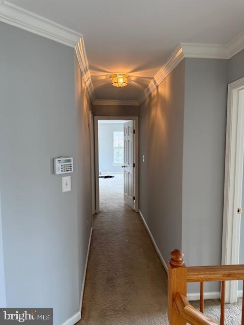 WHITEBRIAR - Residential