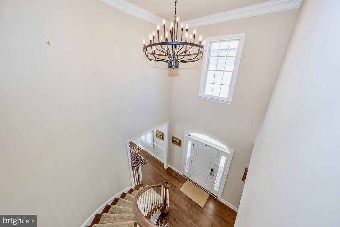 LISETER - Residential