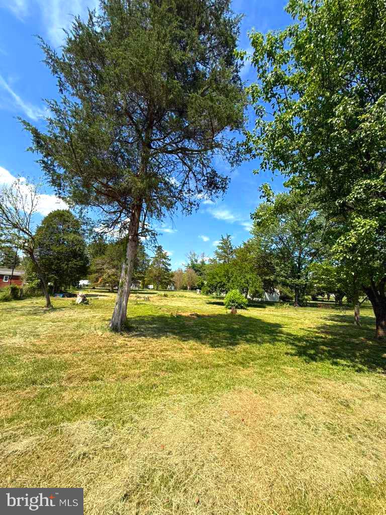 SHEN FARMS RIVERVIEW - Land