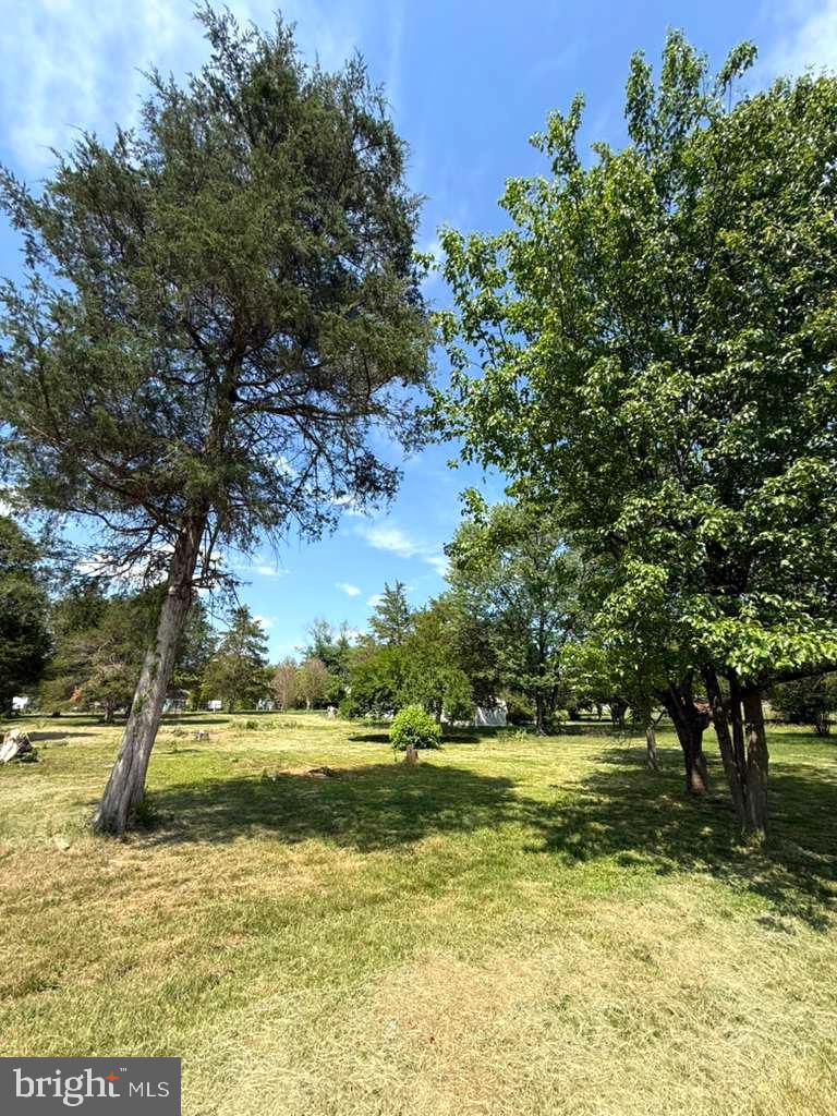 SHEN FARMS RIVERVIEW - Land
