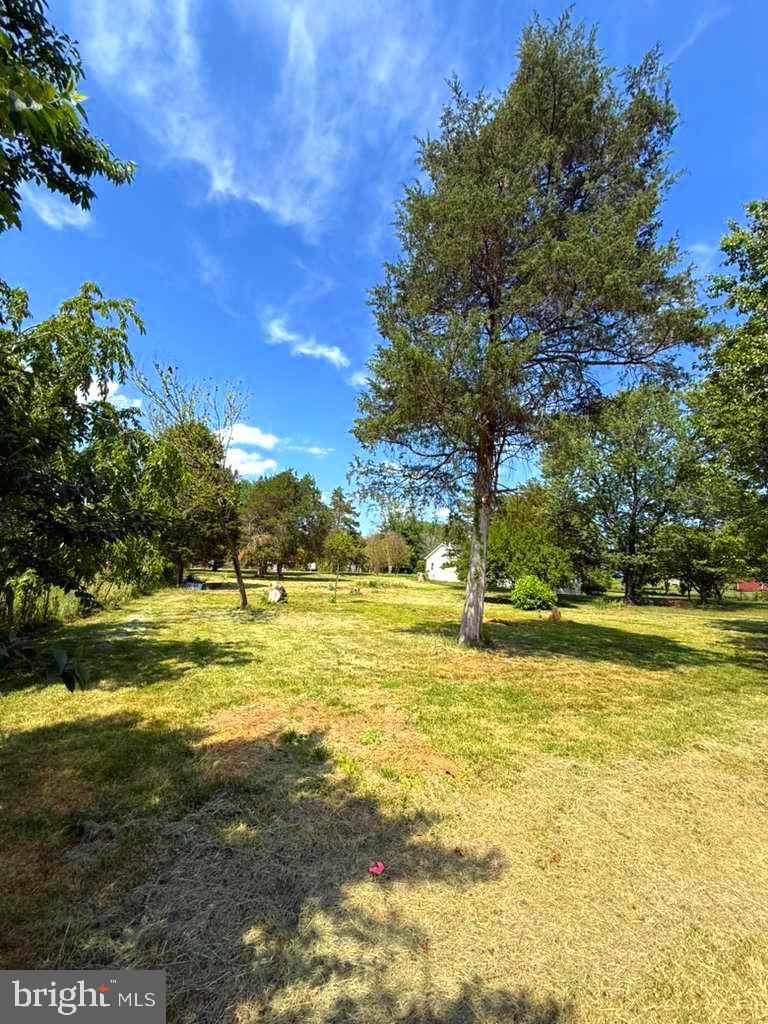 SHEN FARMS RIVERVIEW - Land