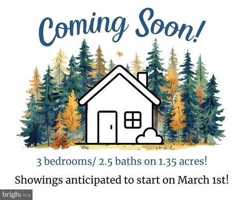 203 PEBBLE LANE BIGLERVILLE PA 17307