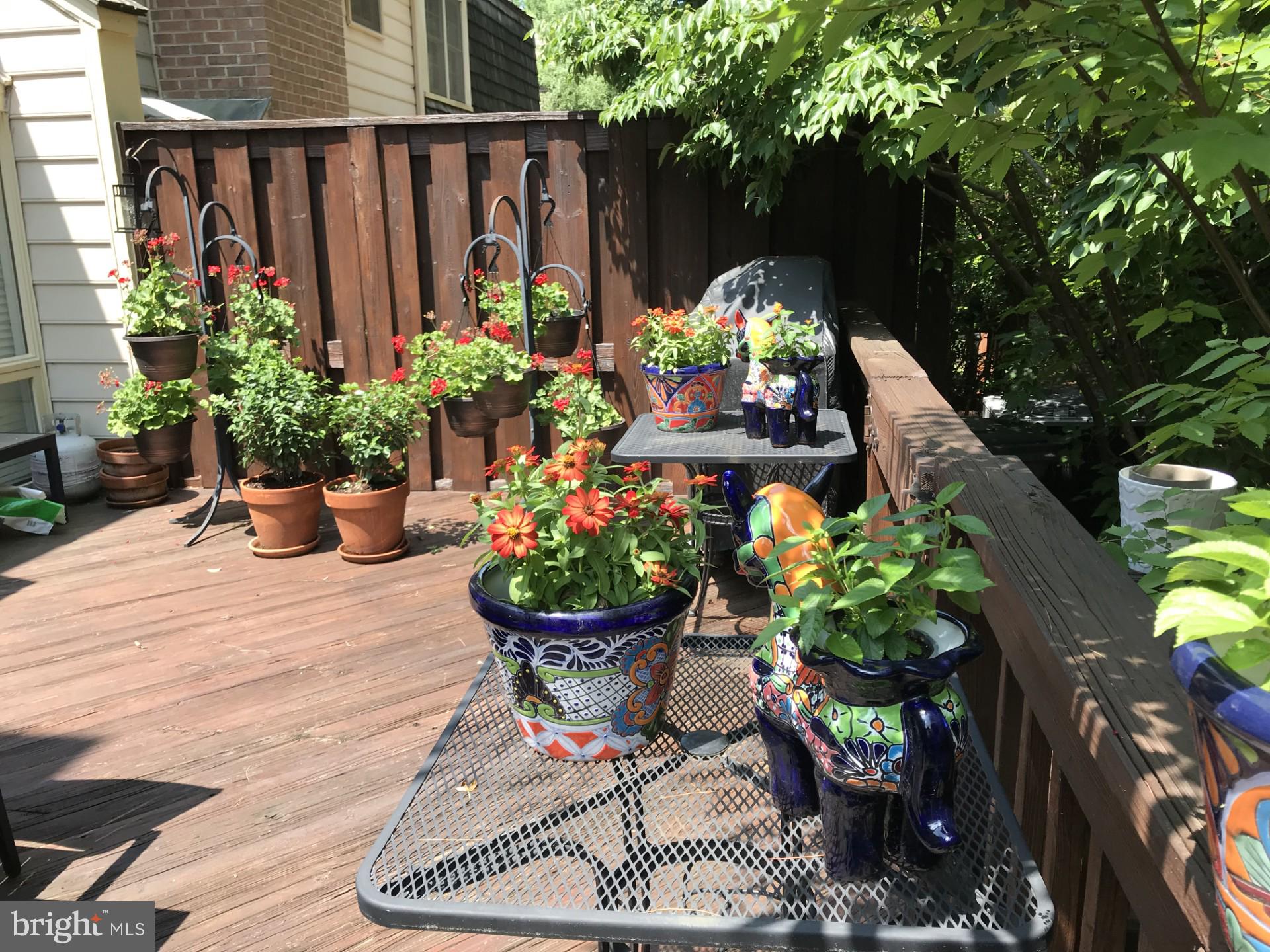 TUCKERMAN STATION - Residential