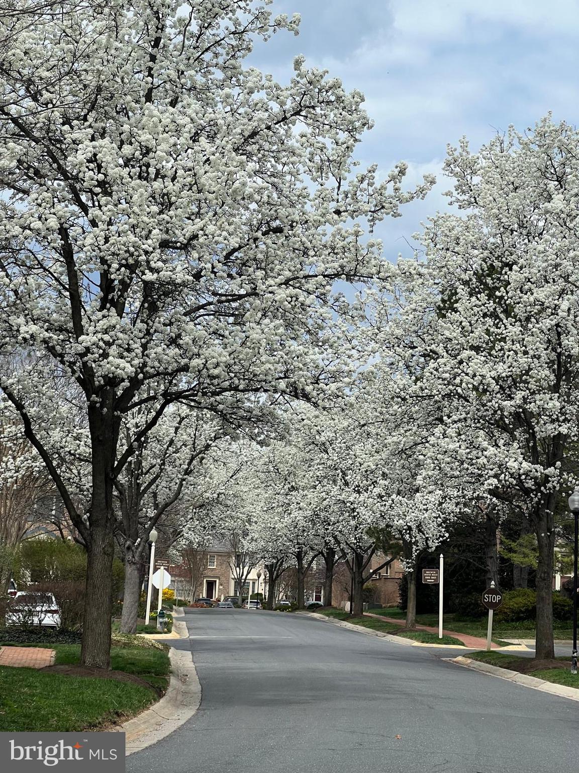 TUCKERMAN STATION - Residential