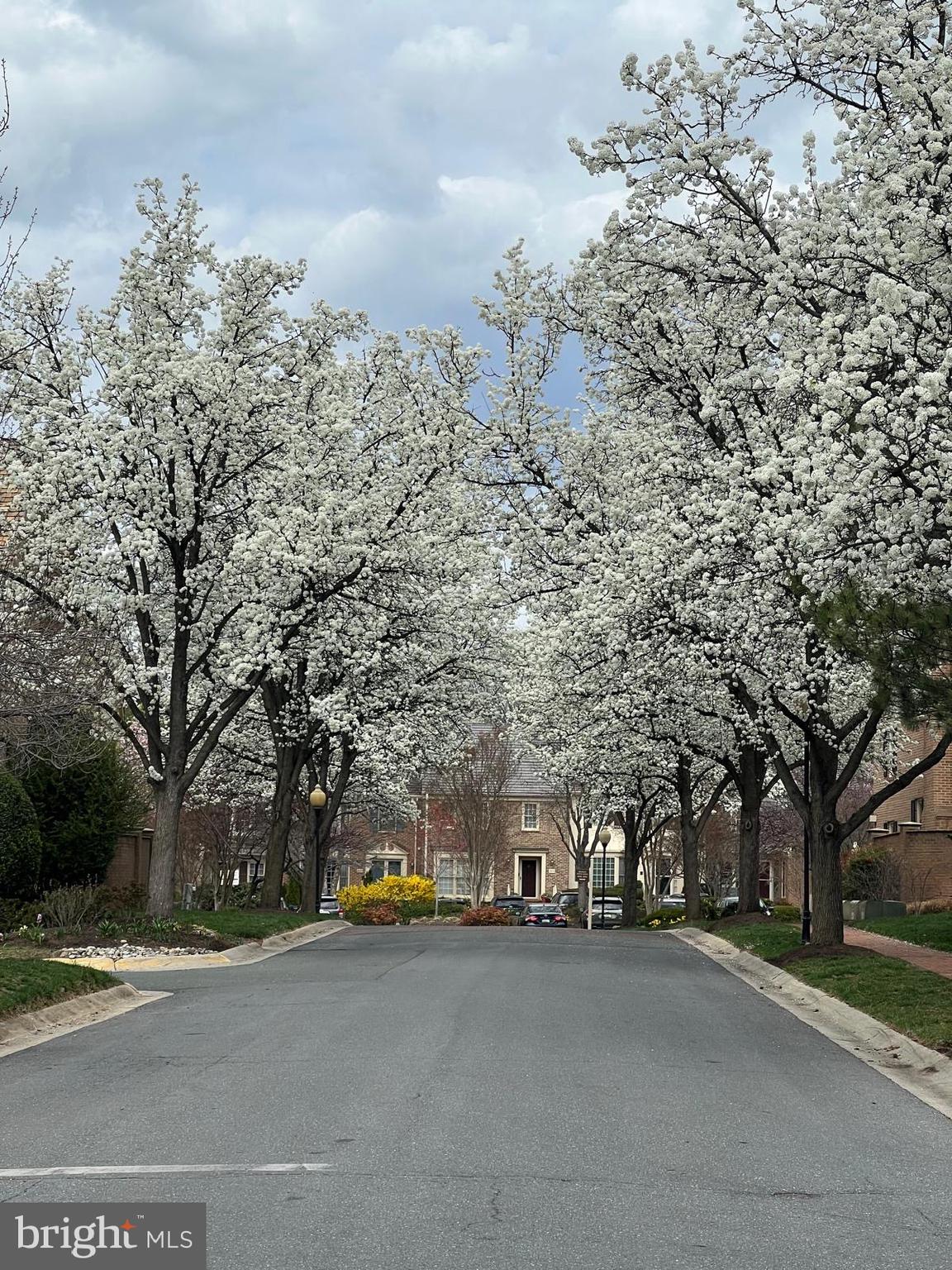 TUCKERMAN STATION - Residential