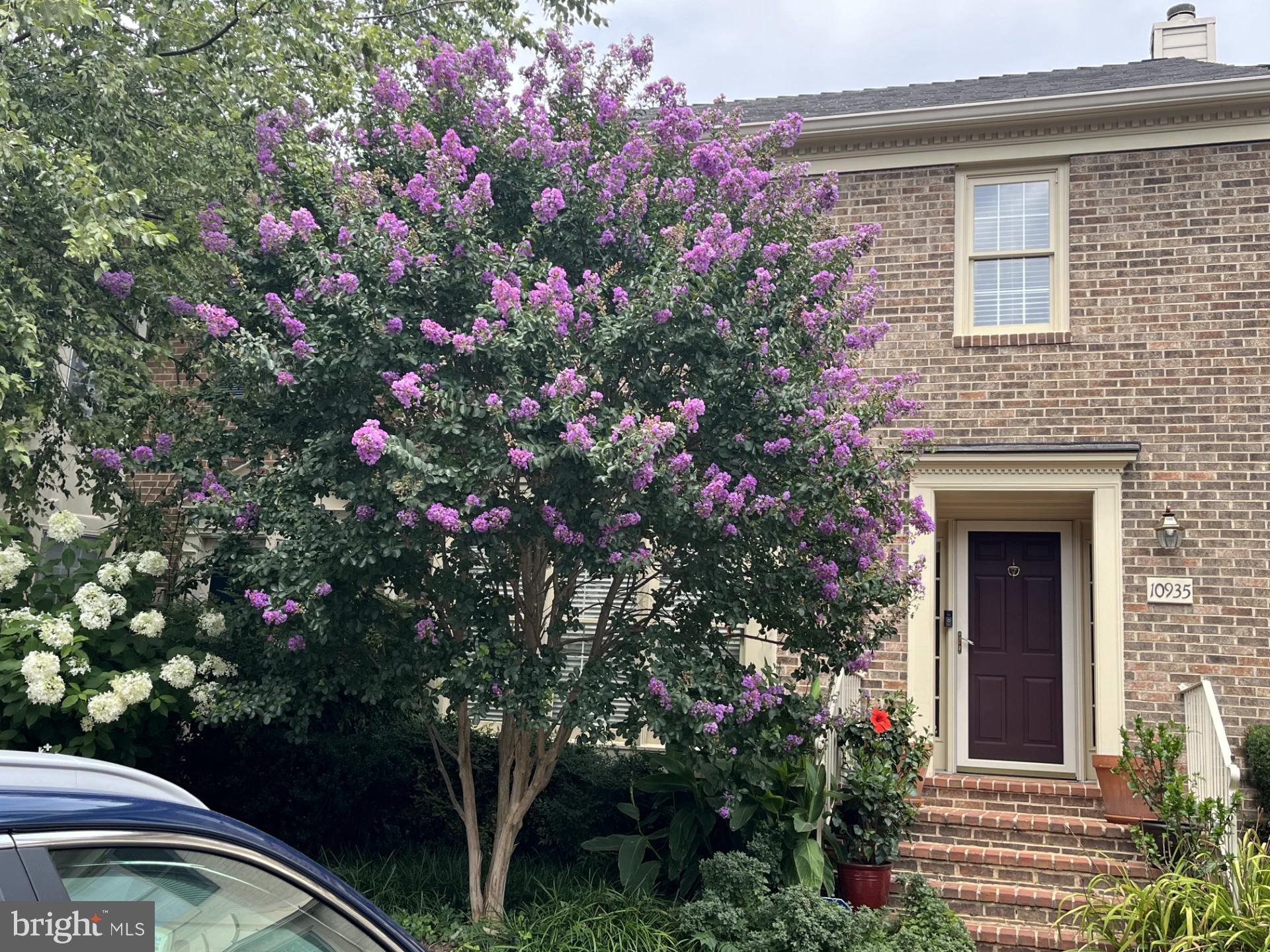 TUCKERMAN STATION - Residential