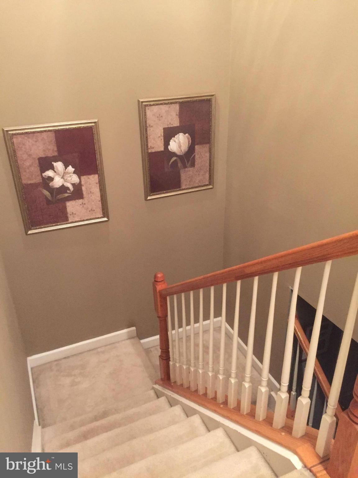 CATALPA HILLS TOWNHOUSES - Residential