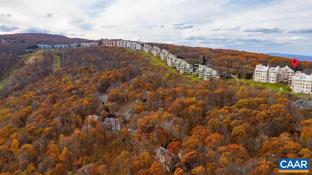 WINTERGREEN RESORT - Residential