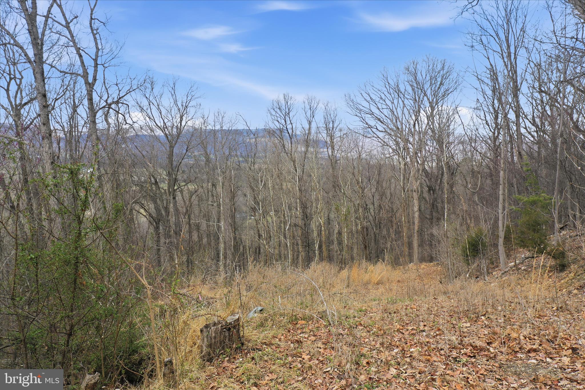 SHENANDOAH GAP - Land