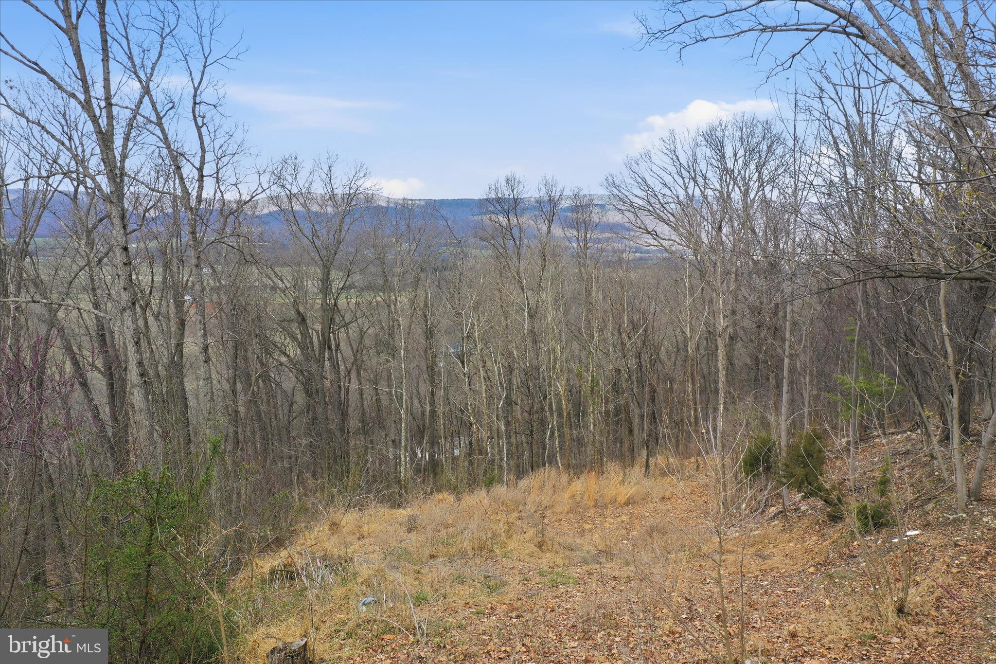 SHENANDOAH GAP - Land