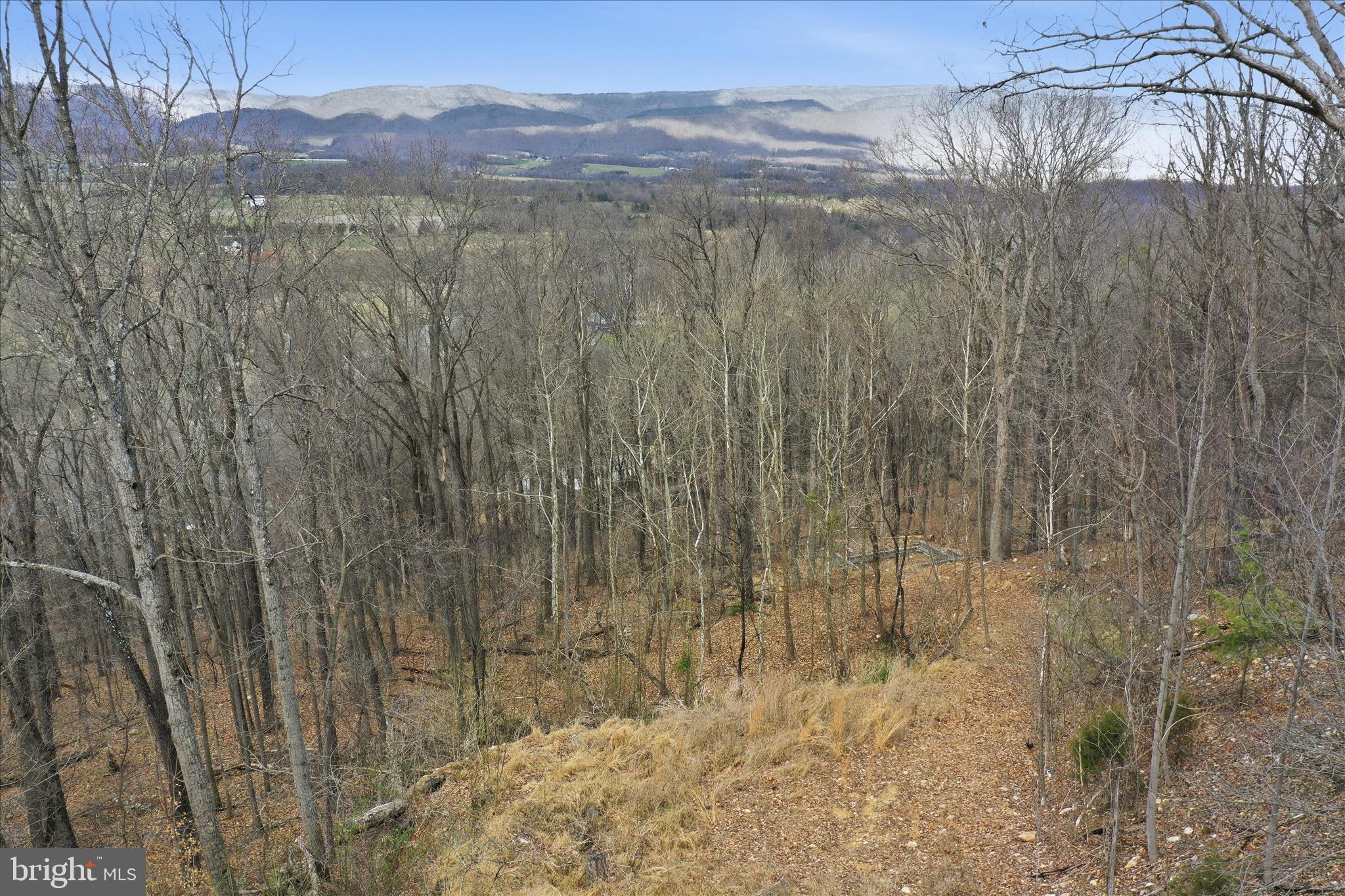 SHENANDOAH GAP - Land