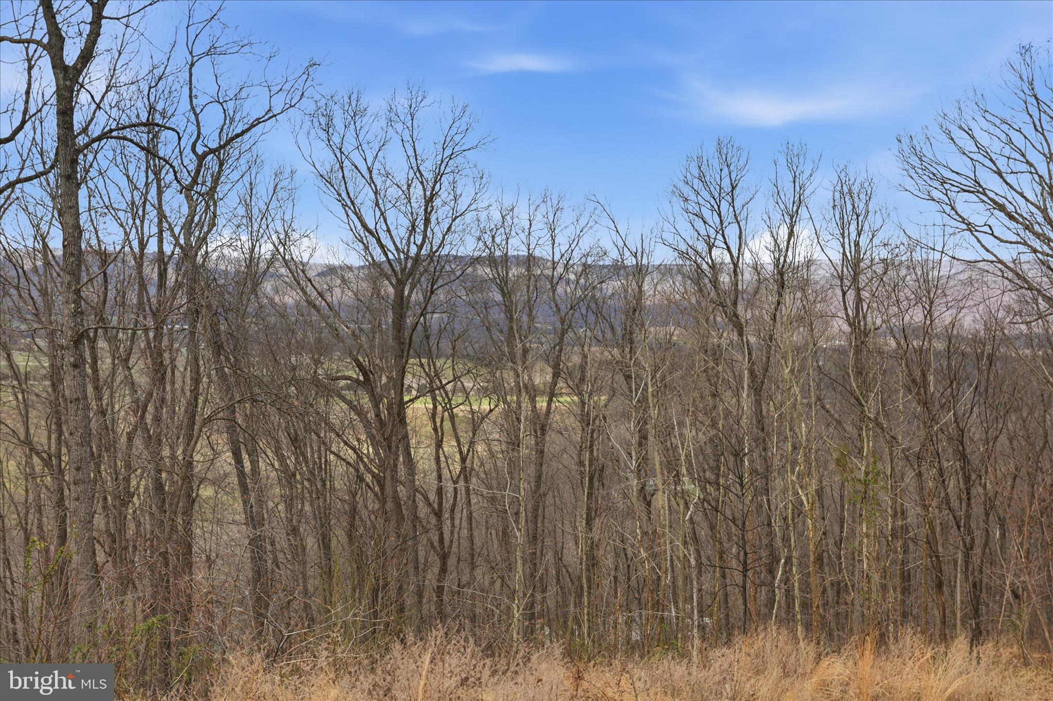 509 RIVER VIEW PLACE