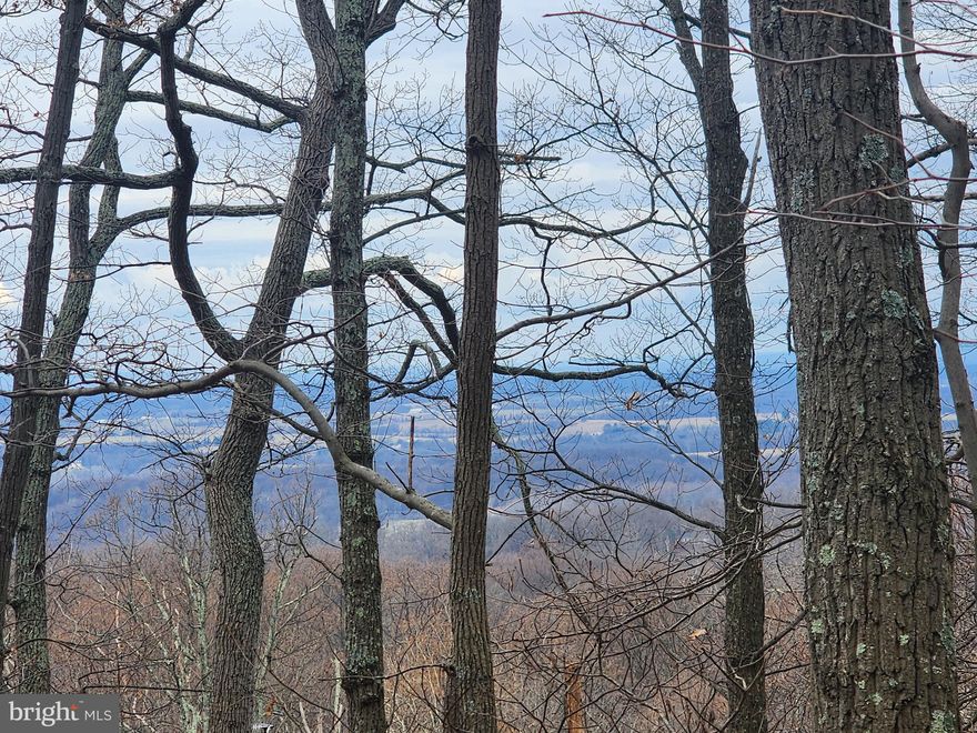 Two lots make up over 1+ acre recreational lot located on hard surface road in Shannondale.  This property has EXPANSIVE views overlooking the valley.    This property cannot have a septic but it is unrestricted so would make great recreational lots.  (A member of Paramount Rentals, LLC is a licensed real estate broker). Owner financing may be possible with 30% down and acceptable credit.