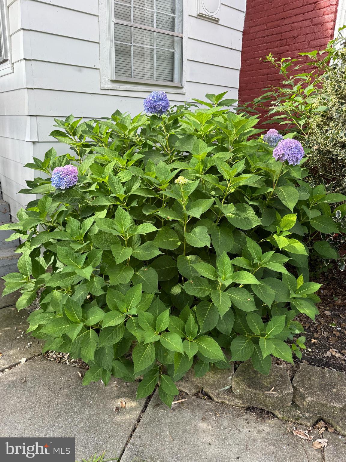 MCVEYTOWN - Residential