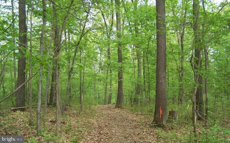 7.92 ACRE PRIVATE AND SECLUDED WOODED LOT IN A GREAT LOCATION. ADJOINING PROPERTYIS ALSO FOR SALE-A 32+ ACRE FARM WITH MANY POSSIBILITIES. CURRENTLY A GREATEQUESTRIAN CENTER BUT COULD BE USED FOR MANY TYPES OF LIVESTOCK, TREE FARM, CROPSAND MANY OTHER POSSIBILITIES.