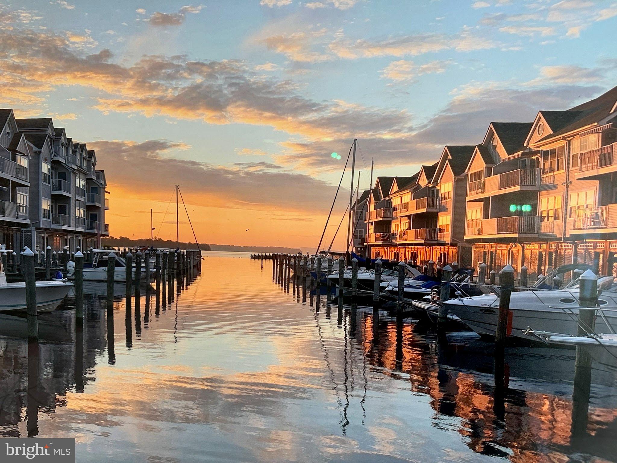 CANVASBACK COVE - Residential