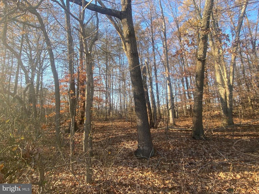 Build your dream home or investment property to rent! Awesome wooded lot for sale!! There are two lots available  (Lots 30 and 31) for $65k each. Each lot is approx .445 acres. Seller wishes to sell both lots as a package for $130k.  Public water and sewer available (grinder pump for sewer). See documents for set back requirements and contact county to confirm info.

They are located just before Bulls Lane. Lot 30 is to the left of the home located at 216 Old Philadelphia Rd. Lot 31 is beside Lot 30.