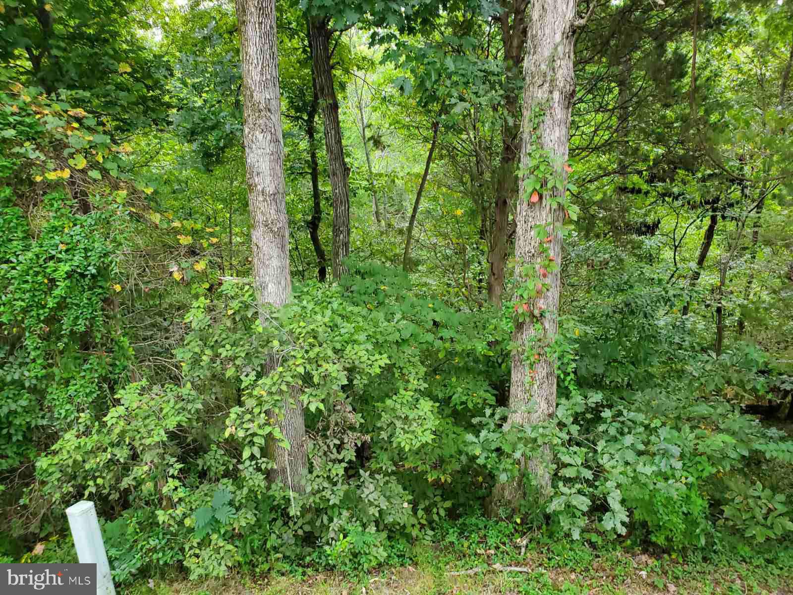 COMPTON VALLEY ESTATES - Residential Lease