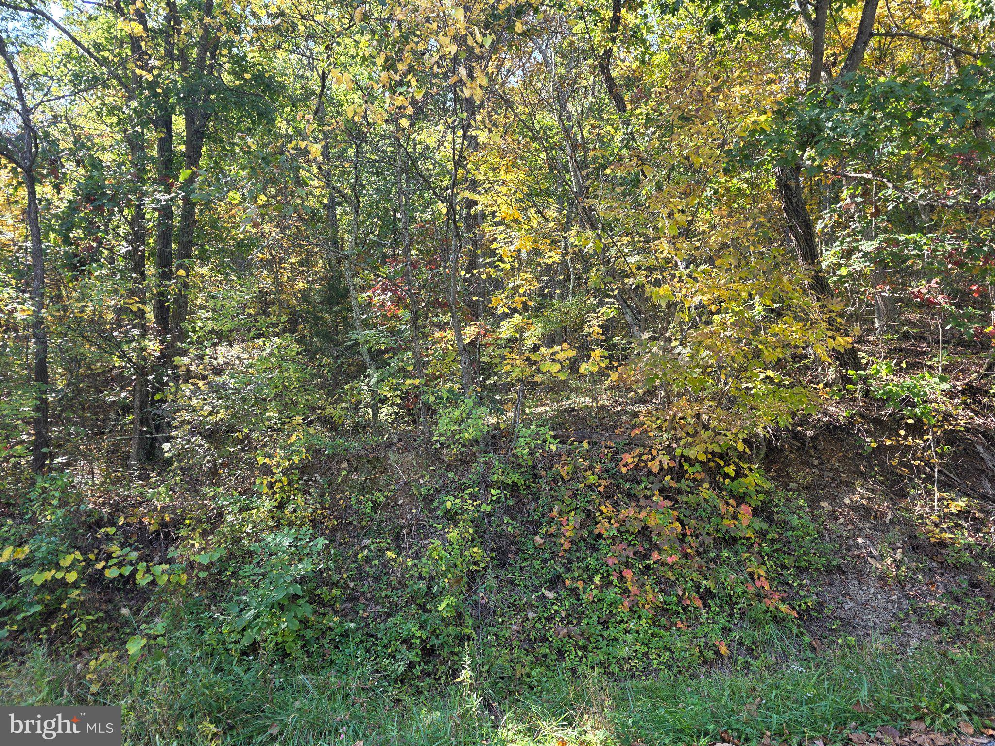 PARSONS ROAD