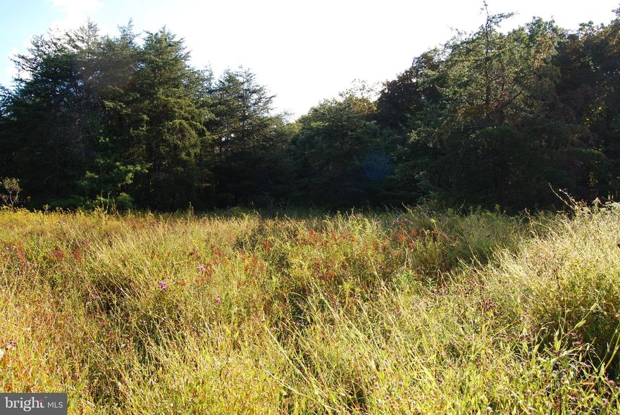 This is the property you have been searching for.  Just on the outskirts of the town of Capon Bridge sits this level parcel waiting for you to bring your building plans. Just off the woods edge is a small clearing that could be mowed for a yard or left the way it is for the local wildlife to enjoy. The front portion is wooded and speckled with large oaks and hickorys.A perc was recently completed resulting in a Class I conventional system that is recorded with the county. Do not let this property go as this property will not last long.