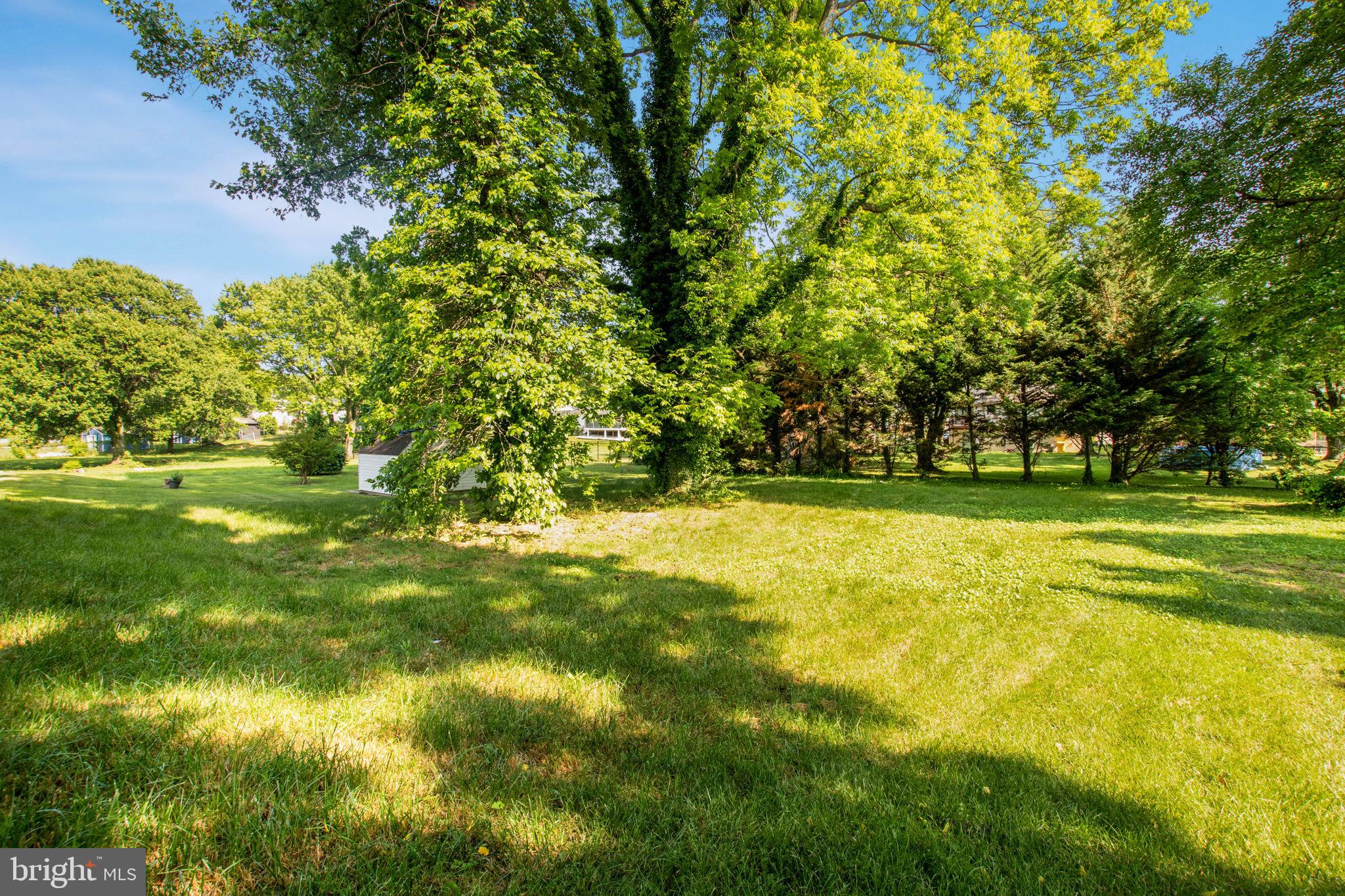 MORRIS HILL - Residential