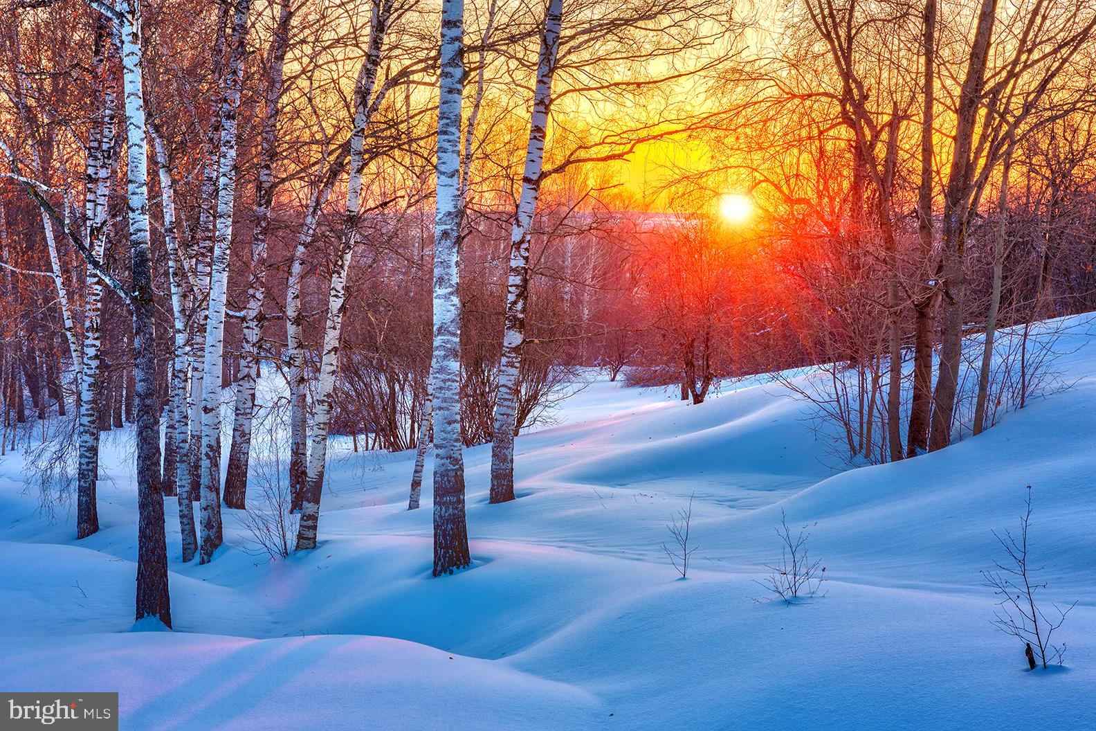 SNOW RIDGE VILLAGE - Residential