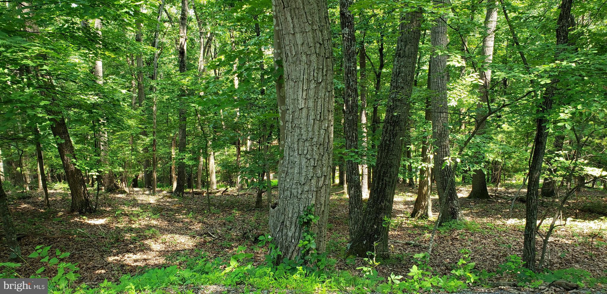 BRYCE MTN. RESORT - Land