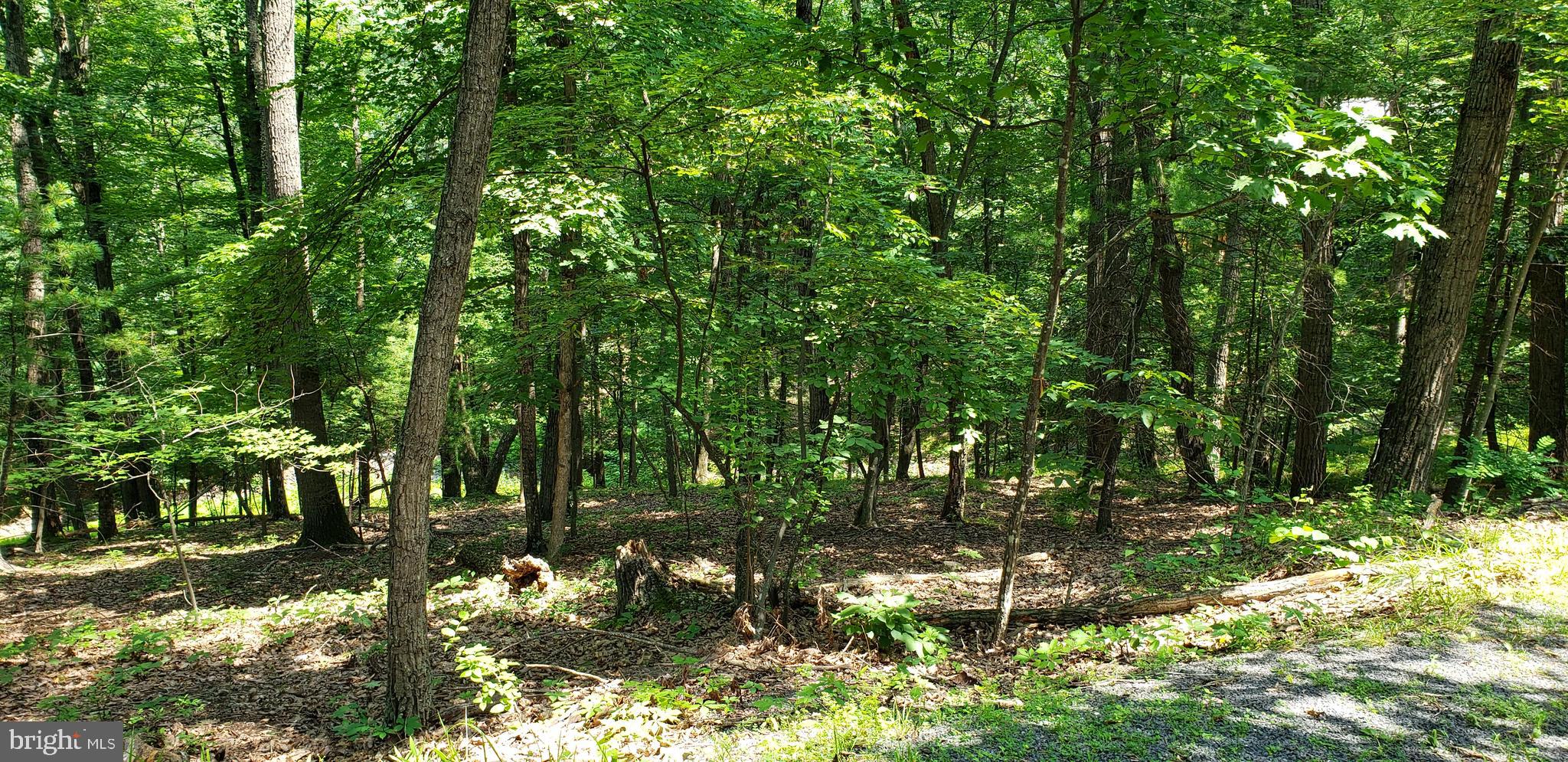 BRYCE MTN. RESORT - Land