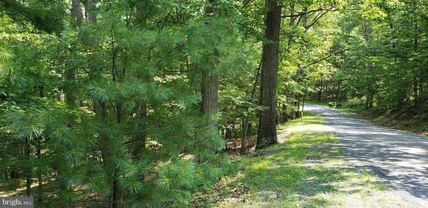 A beautifully wooded lot in the Lake area (Lake Laura) of Bryce Resort. The lot has easy access and is close to Orkney Grade, yet private and without the road noise. It is situated nicely with a slope from the road to a more level area ... perfect for a smaller chalet/cabin or a full-time home. Bryce has SO much to offer!